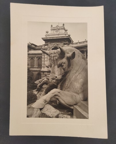 Fotografie palais longchamp - fotografie, in