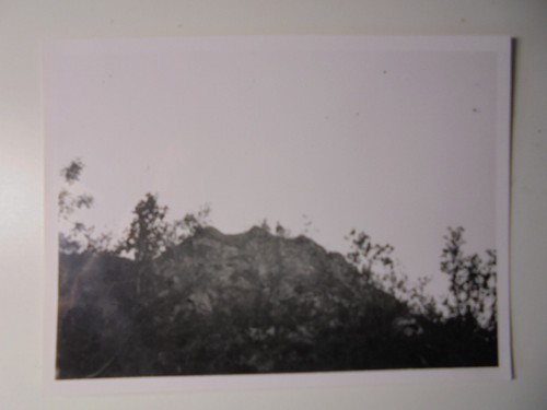 Fotoalbum werner hingst - fotoalbum,