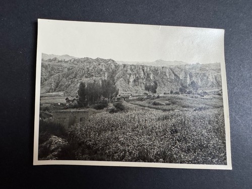 Vintage foto landschaft - vintage,